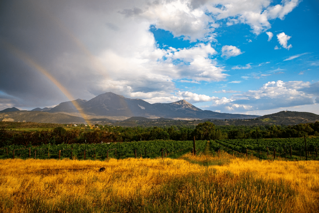 Rainbow in front of a Mountain